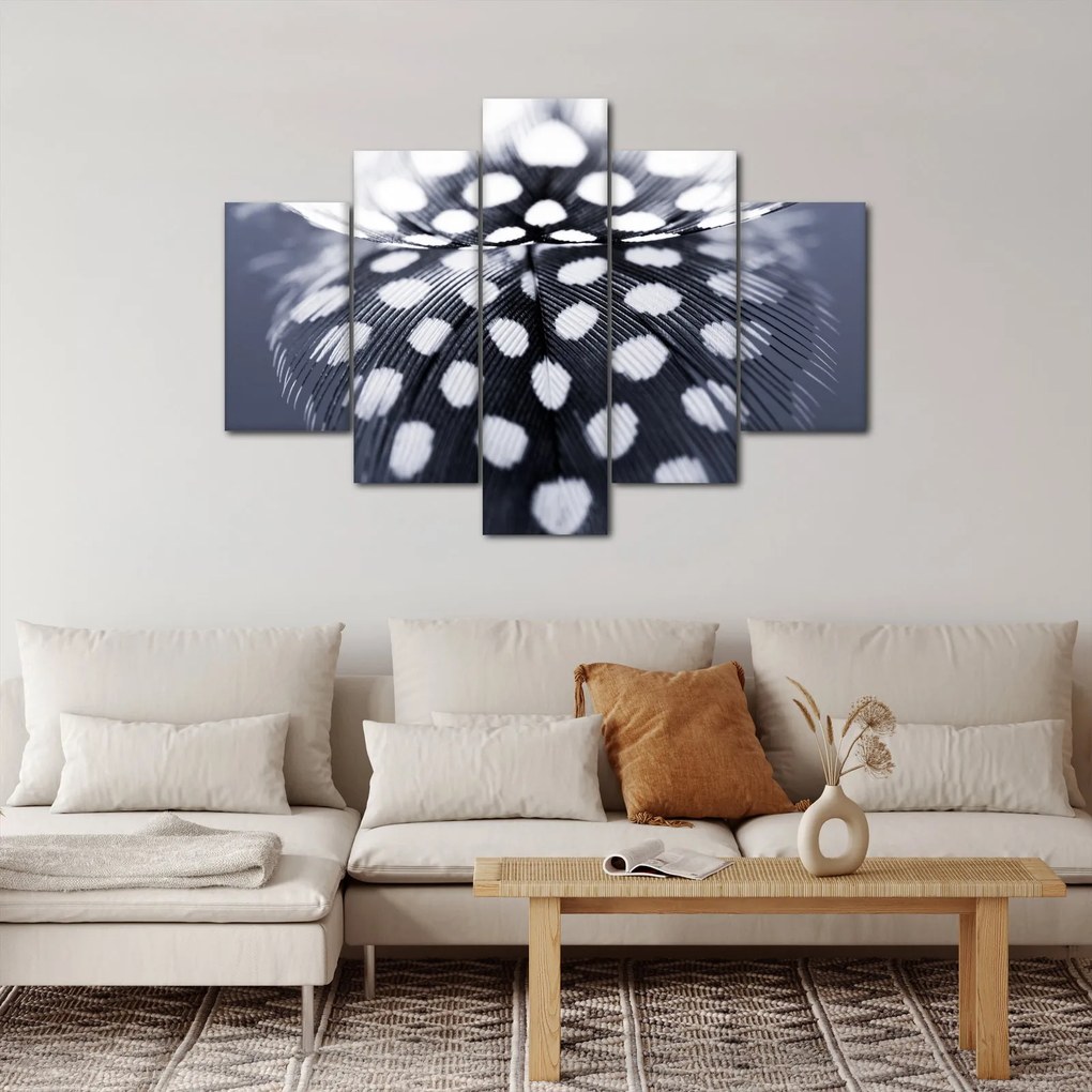 Obraz - Pierko (150x105 cm)