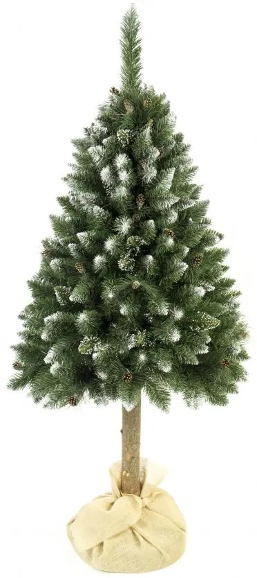 TRENDIE Vianočný stromček Borovica diamantová so šiškou na pníku 180 cm