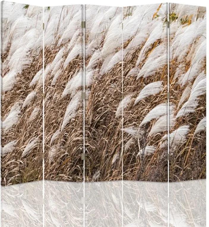 CARO Paraván - Dry Grass | päťdielny | obojstranný 180x150 cm