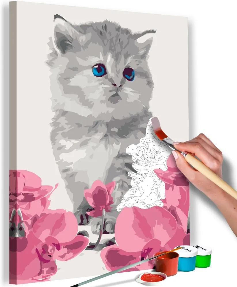 Bimago Maľovanie podľa čísel - Kitty Cat
