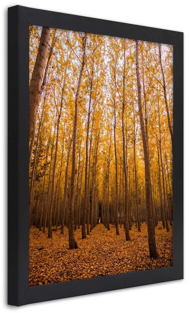 Gario Plagát Zlatý les na jeseň Farba rámu: Bez rámu, Rozmery: 60 x 90 cm