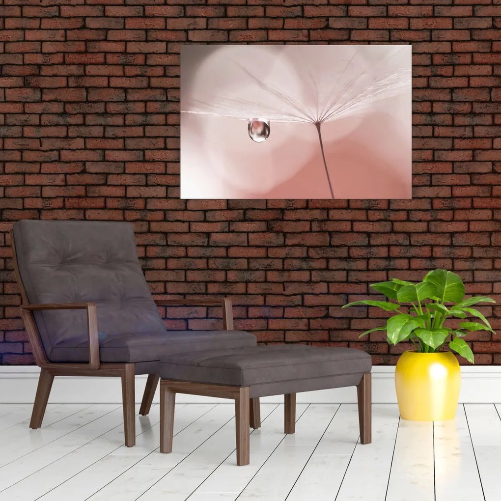 Obraz - Kvapka rosy (90x60 cm)