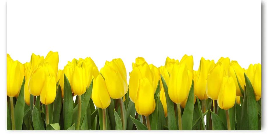 Foto obraz akrylový do obývačky Žlté tulipány pl-oa-140x70-f-2665979