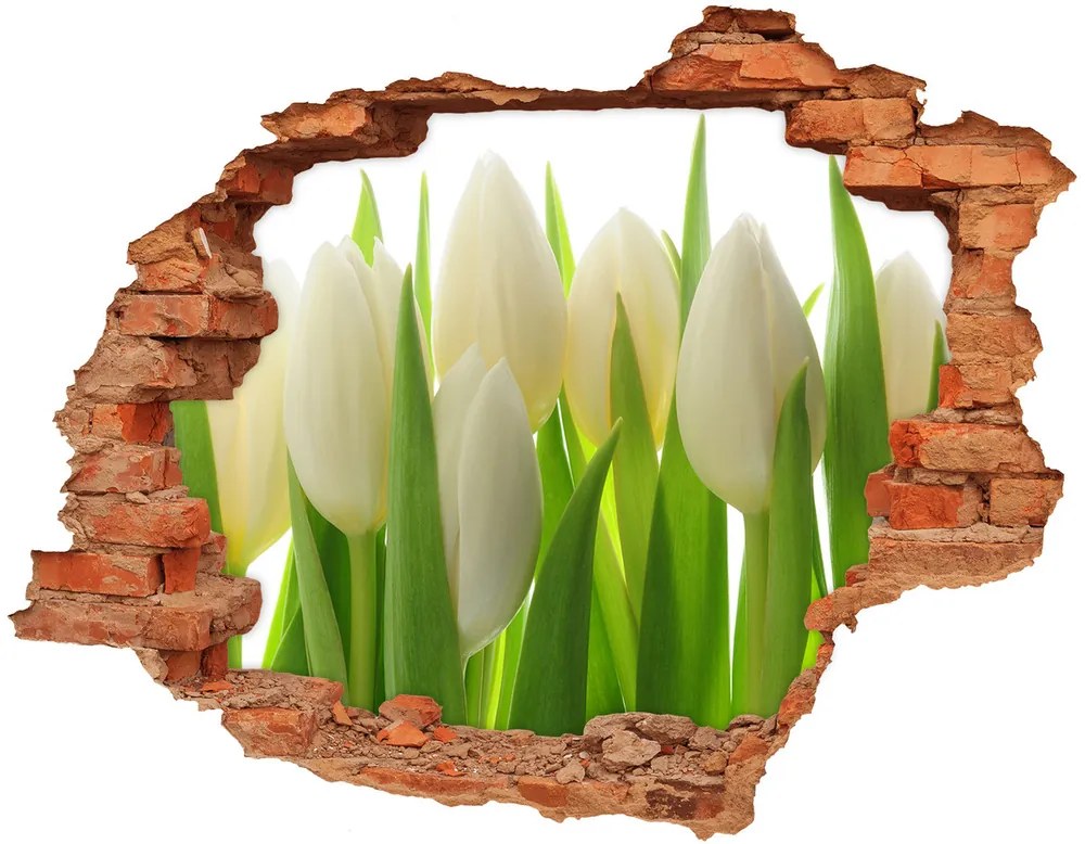 Diera 3D fototapeta Tulipány nd-c-28819889