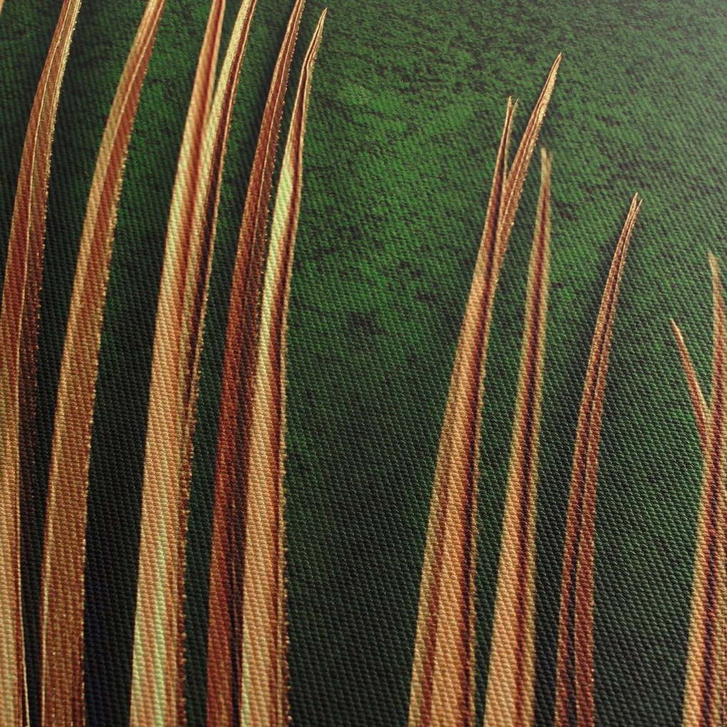 Obraz s listom (70x50 cm)