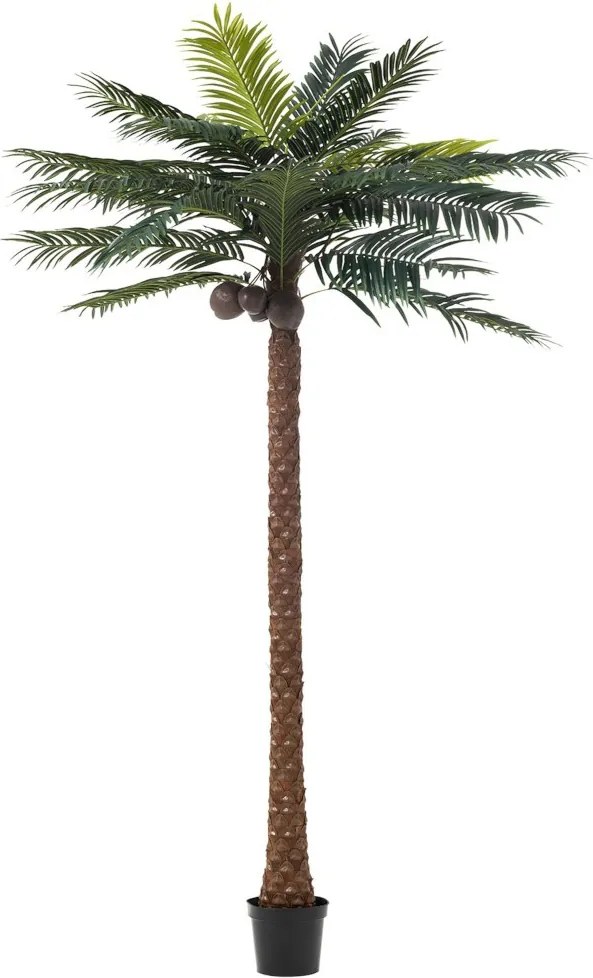 Okrasná palma v kvetináči Palm - Ø190 * 350cm