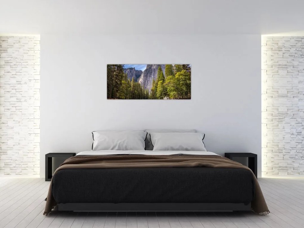 Obraz - Pod Yosemite skalou (120x50 cm)