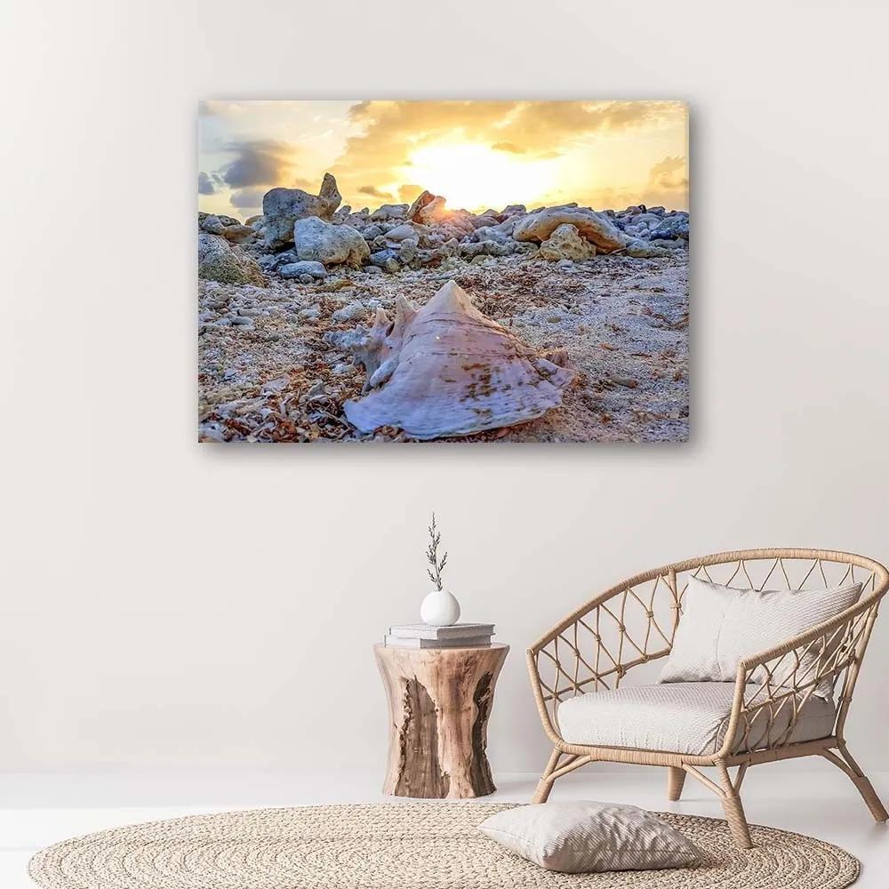 Obraz na plátně Mušle Kameny moře - 120x80 cm