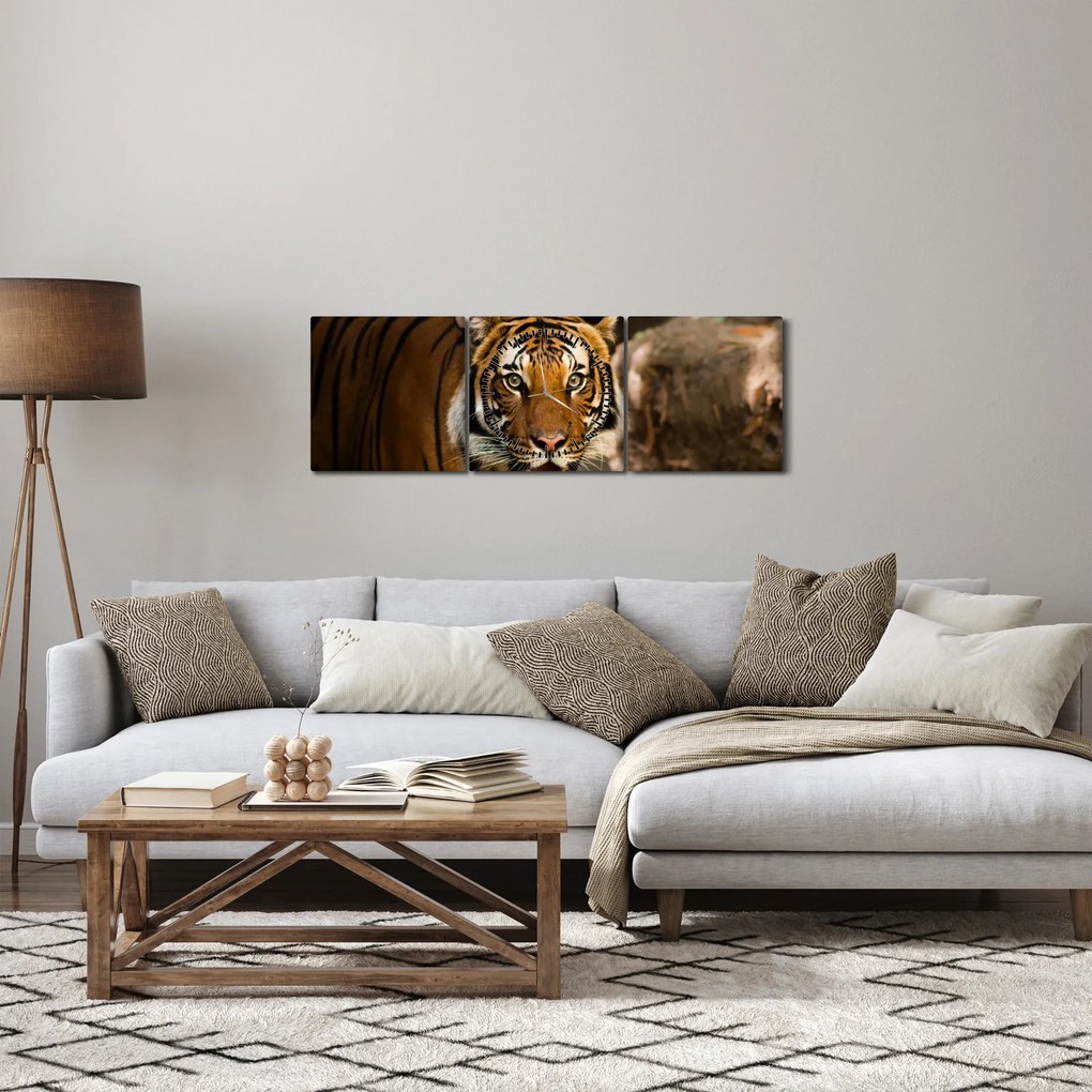 Obraz tigra (s hodinami) (90x30 cm)