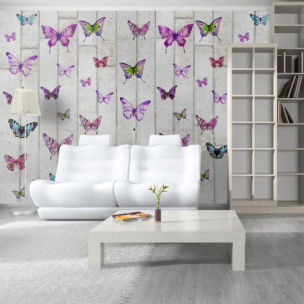 Fototapeta - Butterflies and Concrete 50x1000