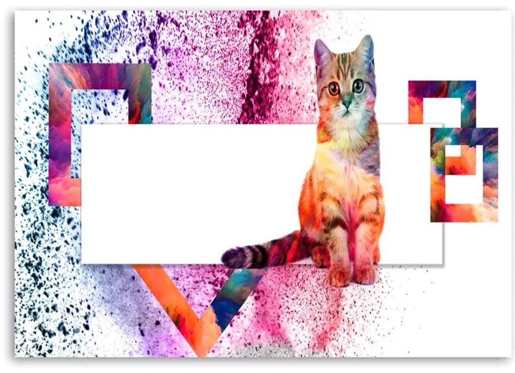 Obraz na plátně Kočkovitá zvířata - 90x60 cm