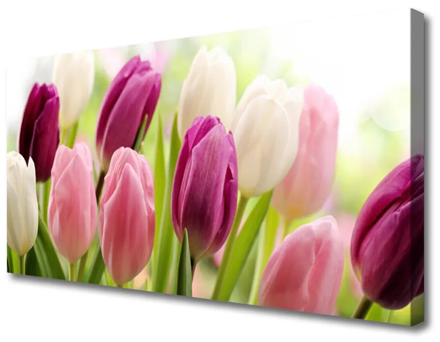 Obraz Canvas Tulipány kvety príroda lúka 140x70 cm