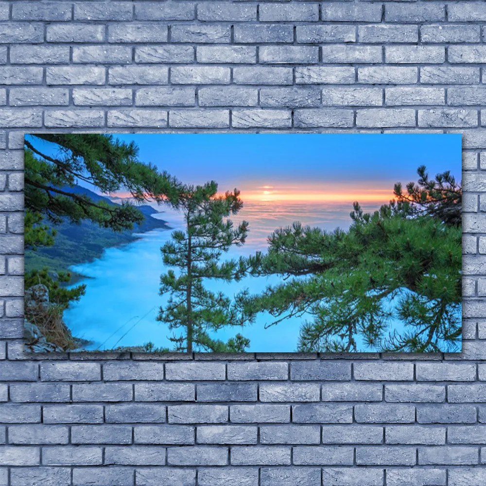 Obraz na akrylátovom skle Stromy príroda 120x60 cm