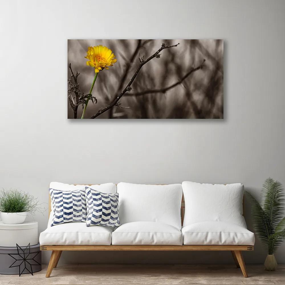 Obraz na plátne Vetva kvet 100x50 cm