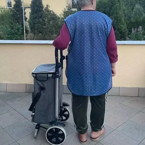 Skladací prepravný vozík Gardlov 23187