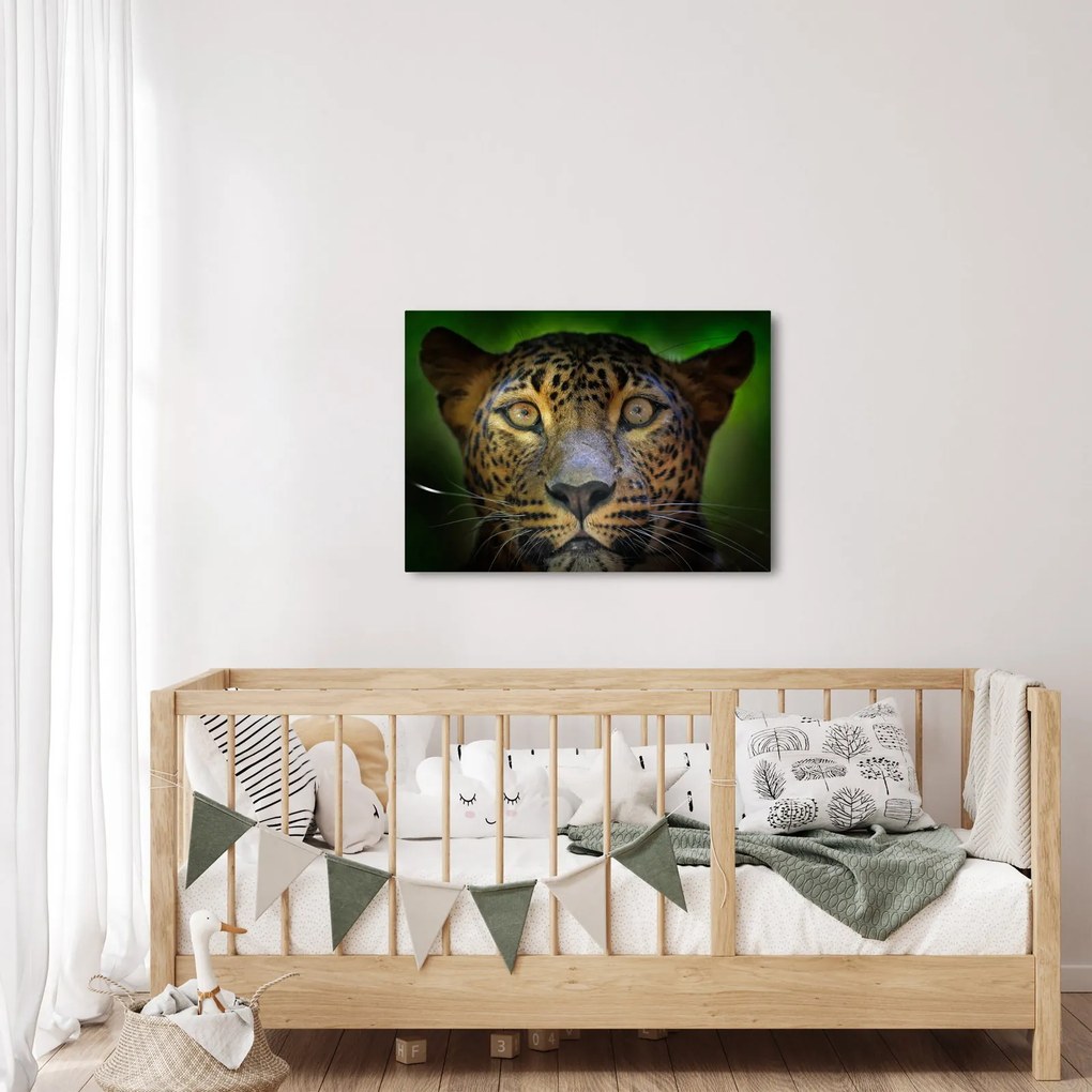 Obraz - Portrét leoparda, Sri Lanka (70x50 cm)