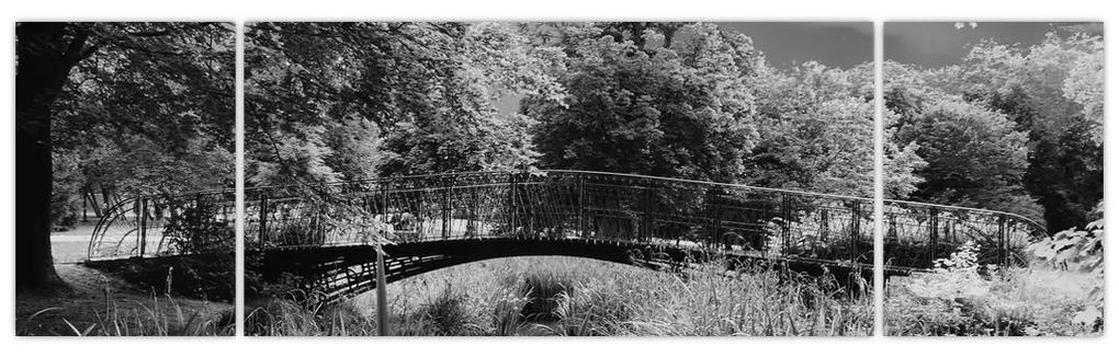 Čiernobiely most - obraz