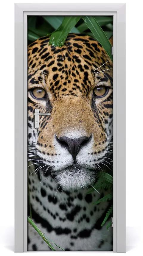 Fototapeta samolepiace na dvere Amazónie jaguár 95x205 cm
