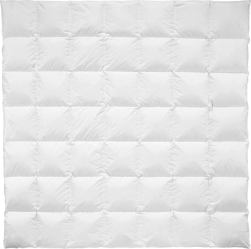 XXXLutz CELOROČNÁ PRIKRÝVKA, 200/200 cm, páperie Billerbeck - Prikrývky & vankúše - 003279008303