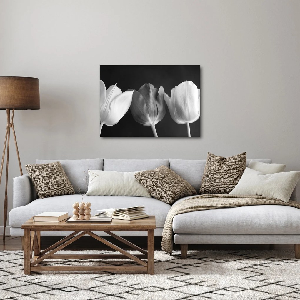 Obraz - Čiernobiele kvety tulipánov (70x50 cm)