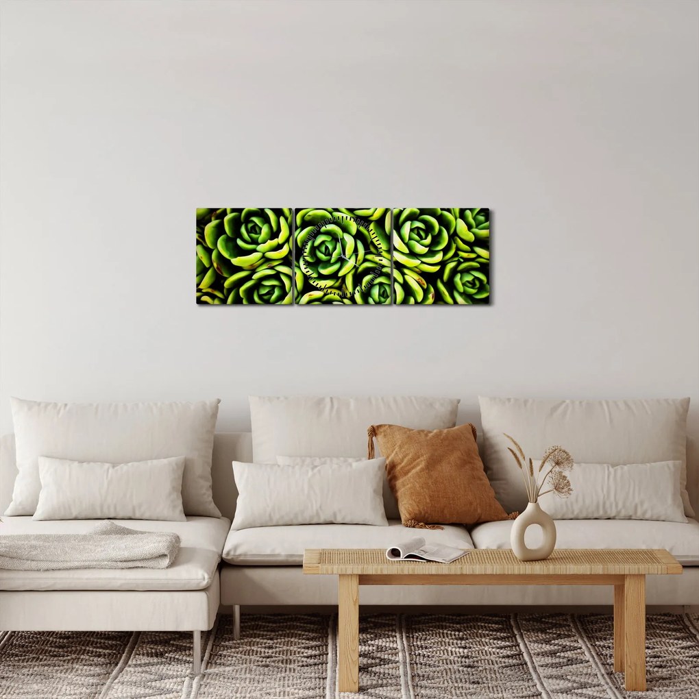 Obraz skalníc (s hodinami) (90x30 cm)