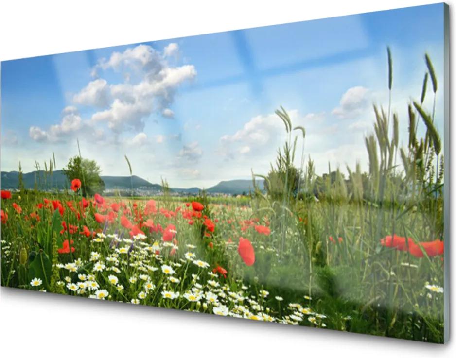 Obraz plexi Lúka kvety príroda