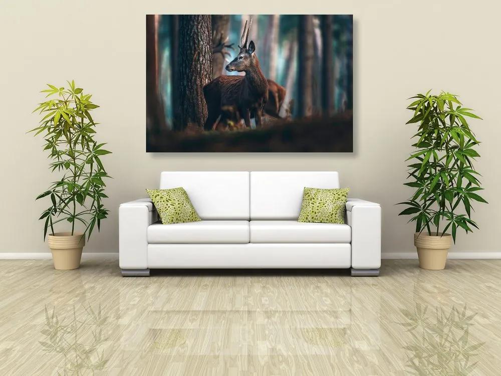 Obraz jeleň v borovicovom lese Varianta: 120x80
