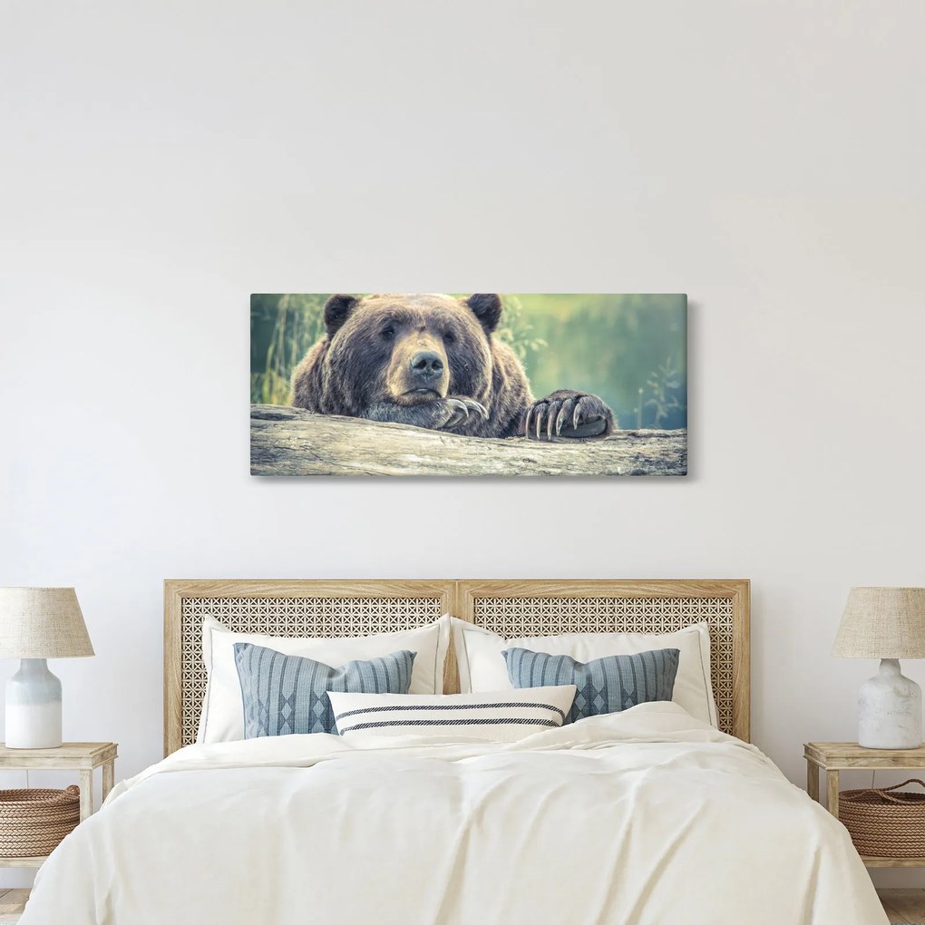 Obraz medveďa (120x50 cm)