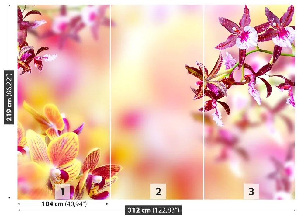 Fototapeta Vliesová Ružová orchidea 208x146 cm