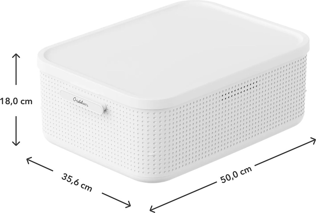 Rotho Úložný box do skrine s vekom a priehradkou na levanduľu, šatníkový organizér LISORA - M, 50 × 35,6 × 18 cm