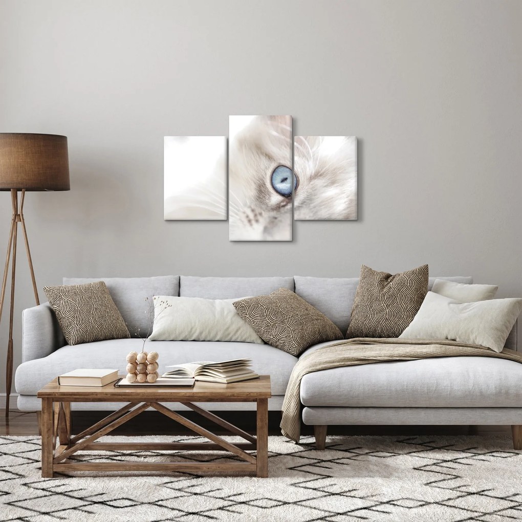 Obraz - Mačka s modrými očami (90x60 cm)