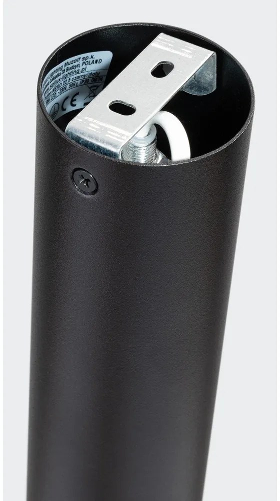 Stropné svietidlo v čierno-zlatej farbe Crown – Sollux