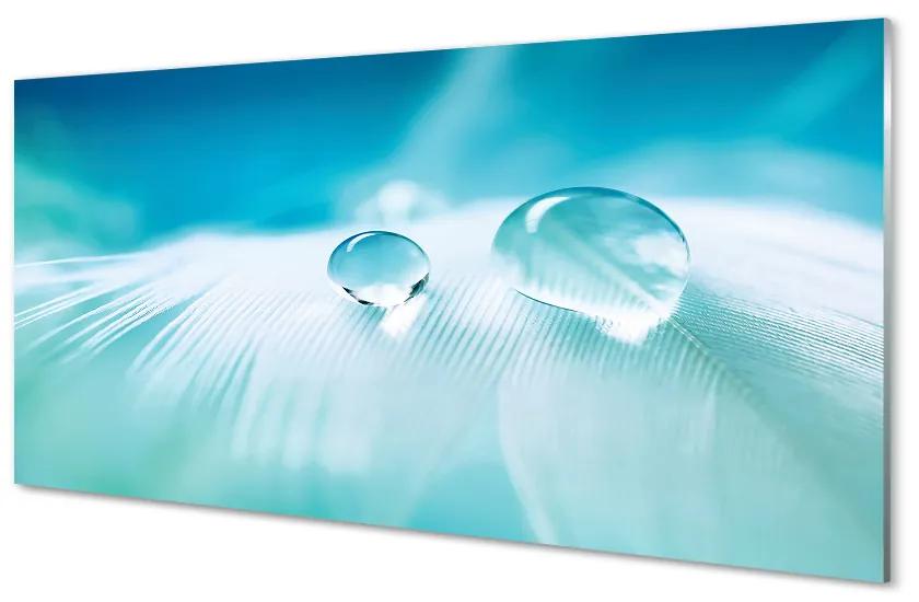 Obraz plexi Vodné kvapky makro 100x50cm