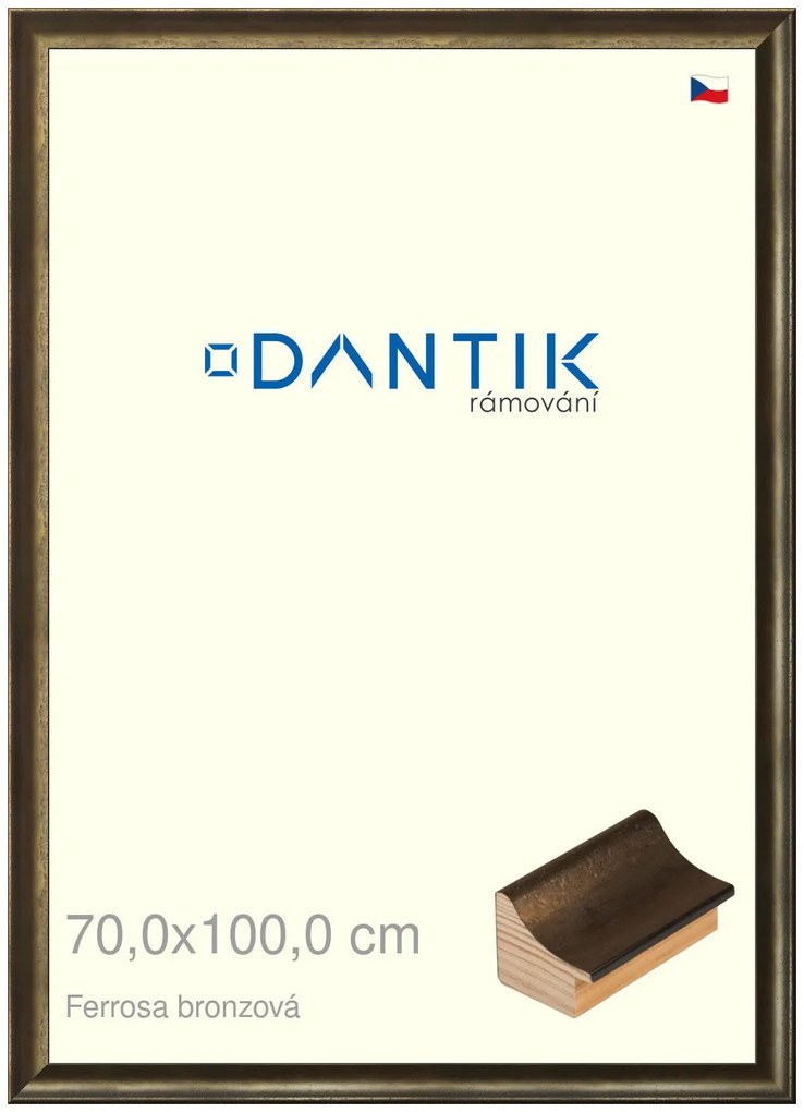 DANTIK rám na obraz 70x100 | Ferrosa bronzová (Plexi Čiré)