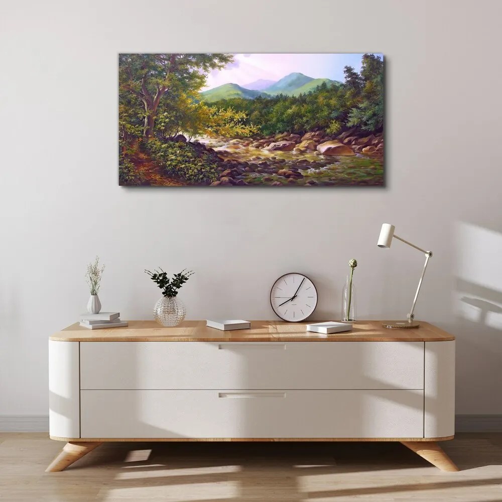 Obraz canvas Las River Stones Mountains