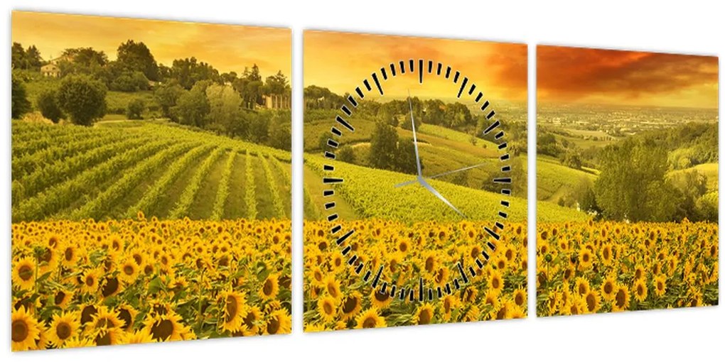 Obraz - Slnečnicové pole (s hodinami) (90x30 cm)