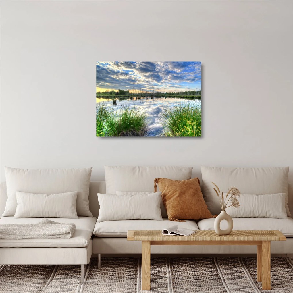 Sklenený obraz jazera s tŕstím (70x50 cm)
