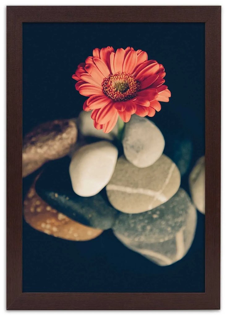 Gario Plagát Gerbera a kamene Farba rámu: Bez rámu, Rozmery: 40 x 60 cm