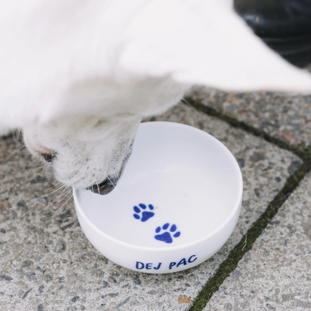 Bella Rose Porcelánová miska Dej pac  450 ml