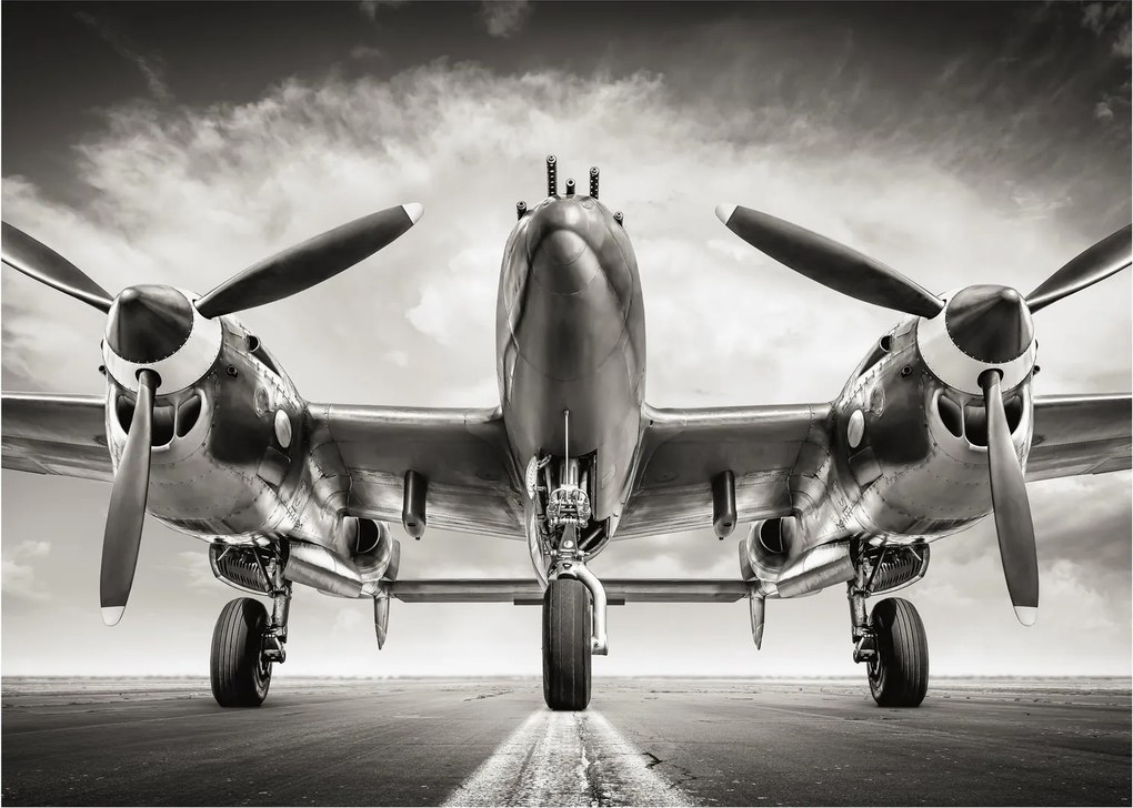Sklenený obraz - Warbird (70x50 cm)