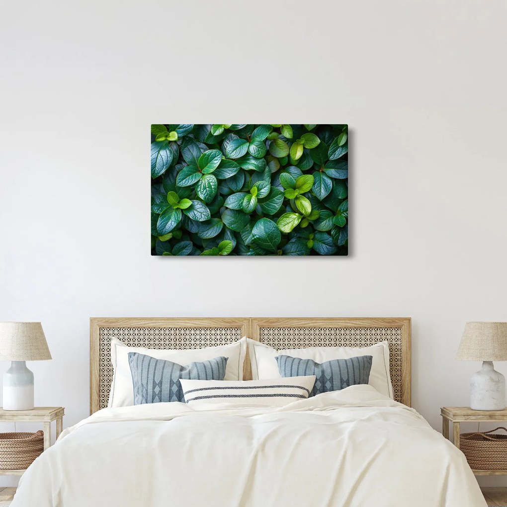 Obraz - Zelené rastliny (90x60 cm)