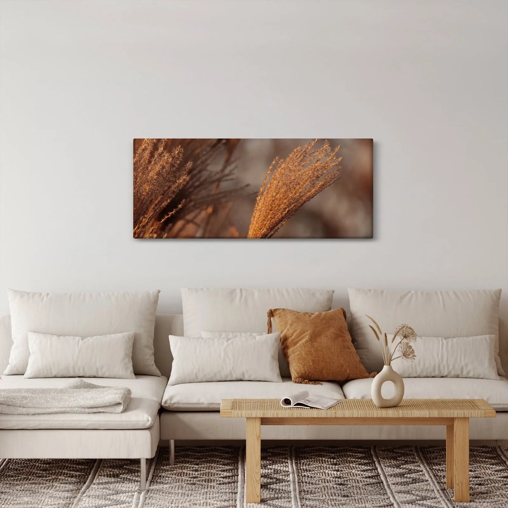 Obraz - Kortadéria (120x50 cm)