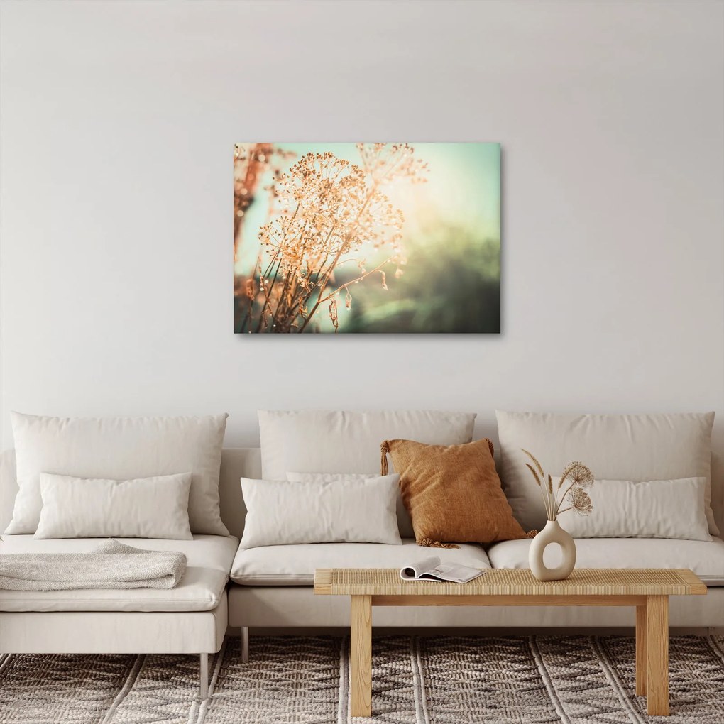Obraz - Rastliny po daždi (70x50 cm)