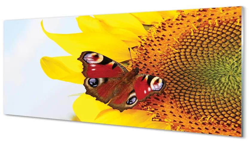 Obraz na akrylátovom skle Slnečnica motýľ 120x60 cm
