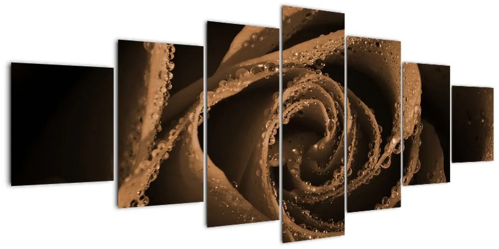 Detail ruže - obraz