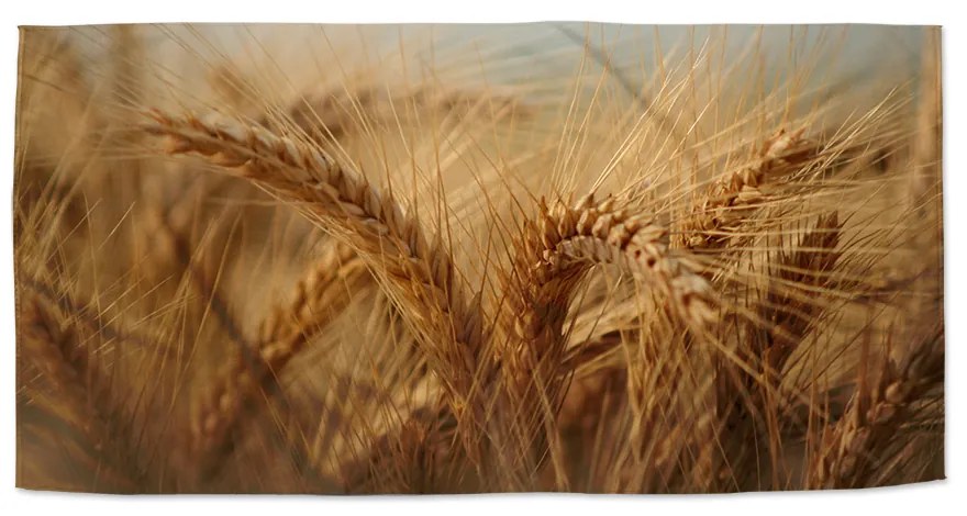 Sablio Uterák Klasy 2 - 30x50 cm