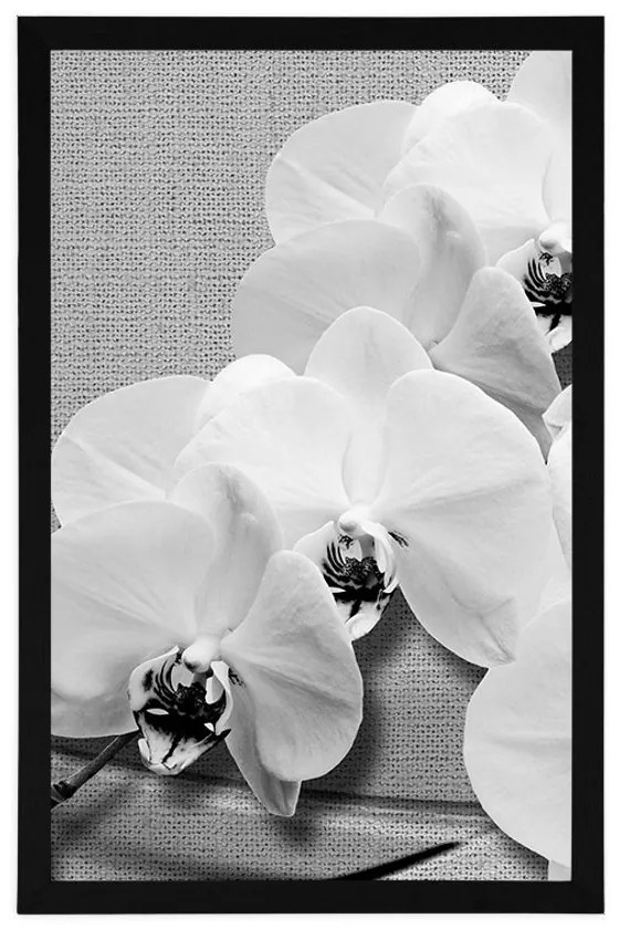 Plagát orchidea na plátne v čiernobielom prevedení - 60x90 black