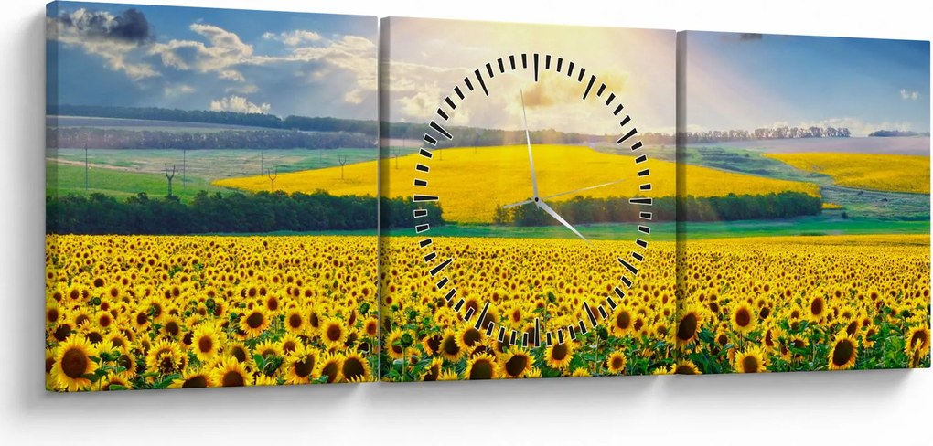 Obraz - Pole slnečníc (s hodinami) (90x30 cm)