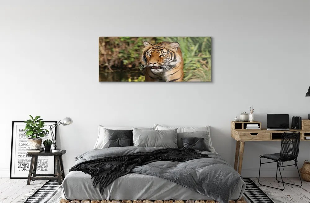 Obraz na akrylátovom skle Tiger woods 120x60 cm