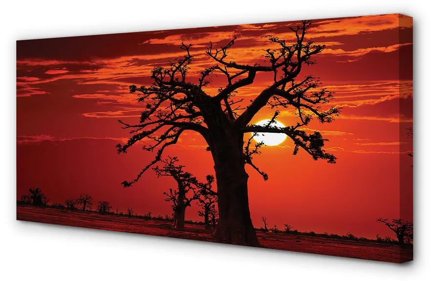 Obraz canvas Stromy oblohy oblačno 120x60 cm